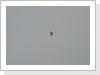 Klicken Sie auf das Bild, um es zu vergrößern