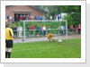 Klicken Sie auf das Bild, um es zu vergrößern